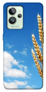 Чохол Пшениця для Realme GT2