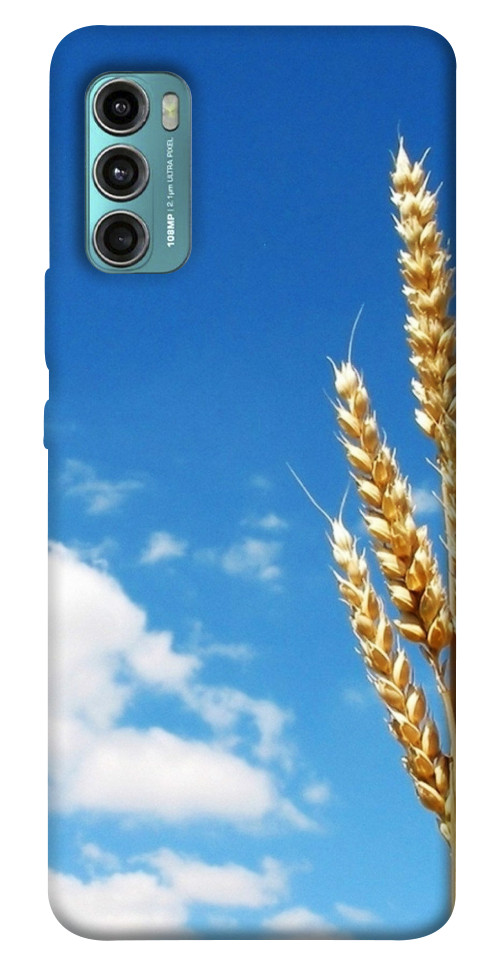 Чехол Пшеница для Motorola Moto G60