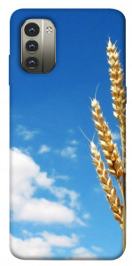 Чехол Пшеница для Nokia G11