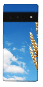 Чехол Пшеница для Google Pixel 6 Pro