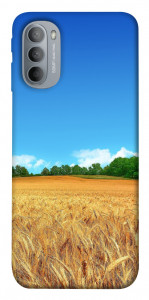 Чехол Пшеничное поле для Motorola Moto G31