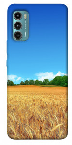 Чехол Пшеничное поле для Motorola Moto G60