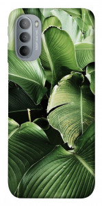 Чехол Тропическая листва для Motorola Moto G31