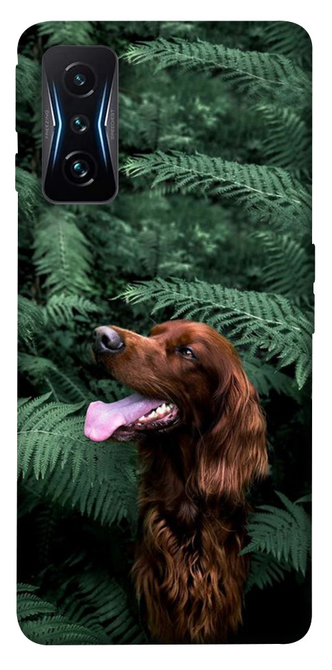 

Чехол Собака в зелени для Xiaomi Poco F4 GT 1534045