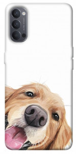 Чехол Funny dog для Oppo Reno 4