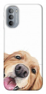 Чехол Funny dog для Motorola Moto G31