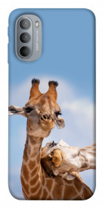 Чехол Милые жирафы для Motorola Moto G31