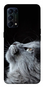 Чохол Cute cat для Oppo Reno 5 4G