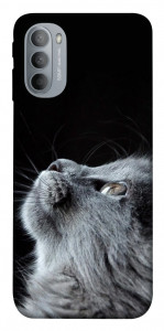 Чехол Cute cat для Motorola Moto G31