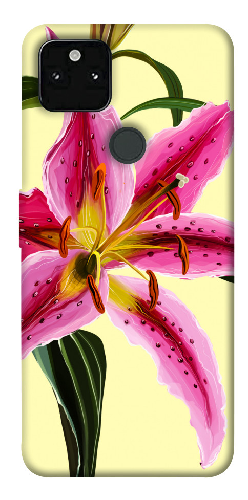 

Чохол Lily flower для Google Pixel 5A 1536241