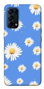 Чохол Chamomile pattern для Oppo Reno 5 4G