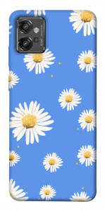 Чохол Chamomile pattern для Motorola Moto G32