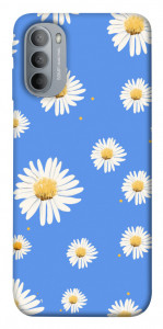 Чехол Chamomile pattern для Motorola Moto G31