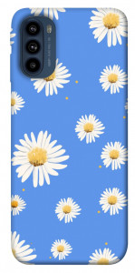 Чохол Chamomile pattern для Motorola Moto G41