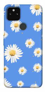 Чохол Chamomile pattern для Google Pixel 5A