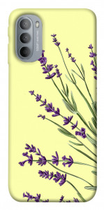 Чехол Lavender art для Motorola Moto G31