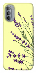 Чохол Lavender art для Motorola Moto G31