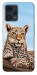 Чехол Proud leopard для Realme 9 Pro+