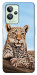 Чехол Proud leopard для Realme GT2