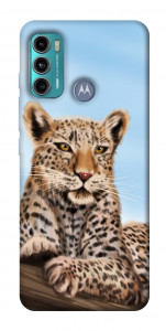 Чехол Proud leopard для Motorola Moto G60