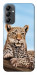 Чехол Proud leopard для Galaxy A14