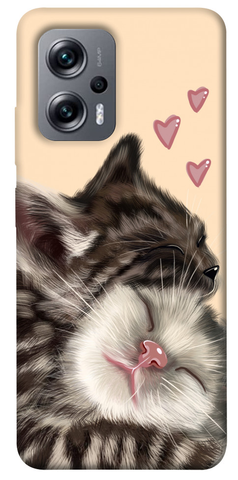 

Чохол Cats love для Xiaomi Poco X4 GT 1537016