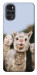 Чохол Funny llamas для Motorola Moto G22