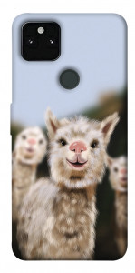 Чохол Funny llamas для Google Pixel 5A