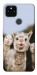 Чехол Funny llamas для Google Pixel 5A