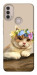 Чехол Cat in flowers для Motorola Moto E40