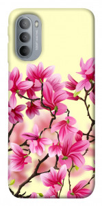 Чехол Цветы сакуры для Motorola Moto G31