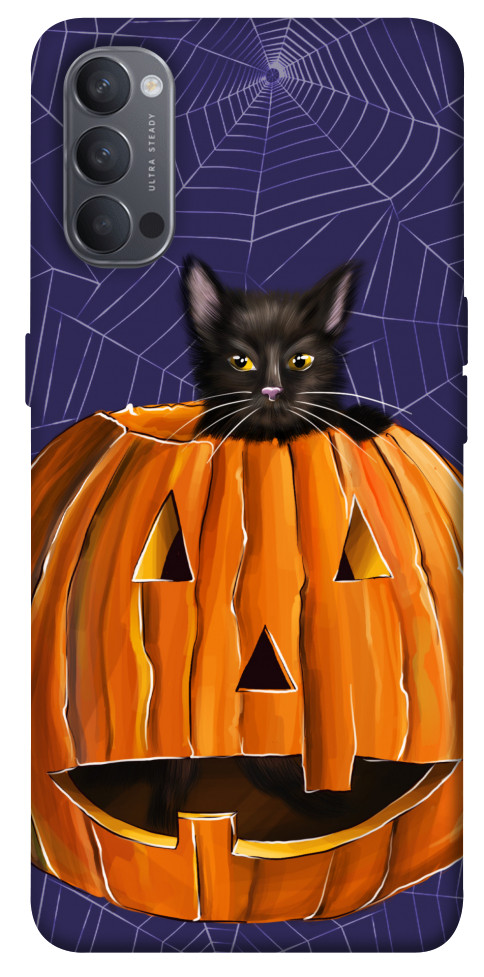 

Чохол Cat and pumpkin для Oppo Reno 4 1538127