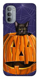 Чехол Cat and pumpkin для Motorola Moto G31