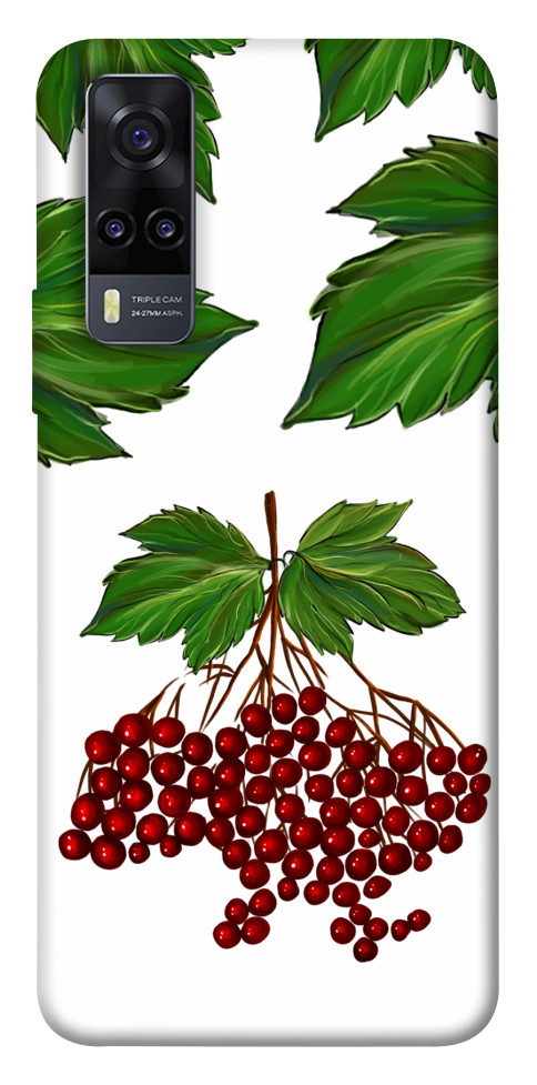 

Чохол Калина для Vivo Y31 1539156