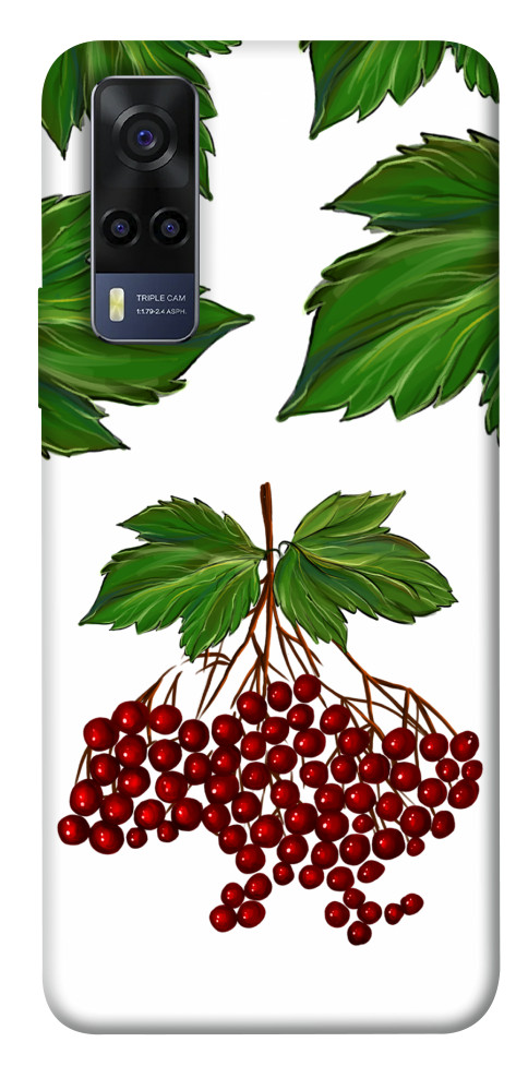

Чохол Калина для Vivo Y53s 1539171