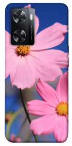 Чехол Розовая ромашка для Oppo A77s