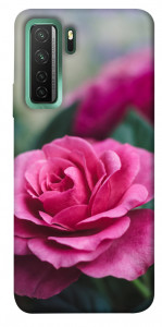Чехол Роза в саду для Huawei nova 7 SE
