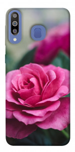 Чехол Роза в саду для Galaxy M30