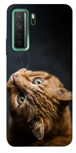 Чохол Рудий кіт для Huawei nova 7 SE