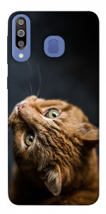 Чохол Рудий кіт для Galaxy M30
