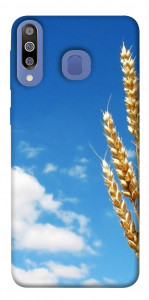 Чохол Пшениця для Galaxy M30