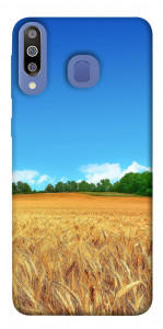 Чохол Пшеничне поле для Galaxy M30
