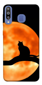 Чохол Кіт на тлі місяця для Galaxy M30