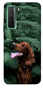 Чохол Собака у зелені для Huawei nova 7 SE