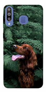 Чохол Собака у зелені для Galaxy M30