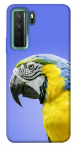 Чехол Попугай ара для Huawei nova 7 SE
