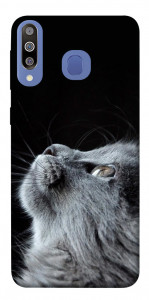 Чохол Cute cat для Galaxy M30