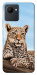 Чехол Proud leopard для Realme C30s