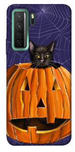 Чехол Cat and pumpkin для Huawei nova 7 SE