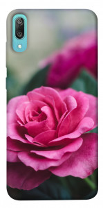 Чехол Роза в саду для Huawei Y6 Pro (2019)